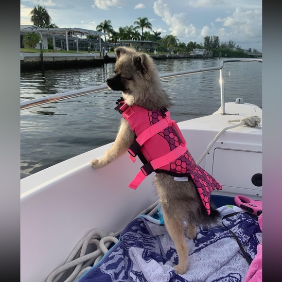 Mermaid Dog Sz SMALL Life Jacket Vest Saver Safety Swim Preserver Rescue Handle - Picture 10 of 16